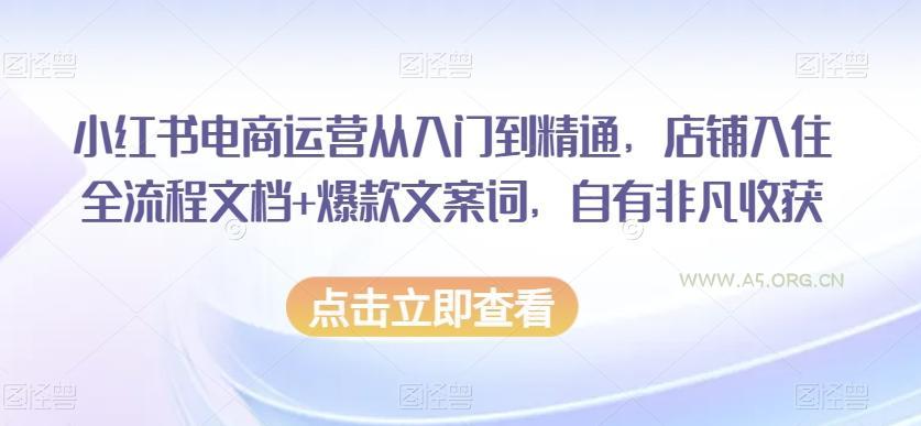 小红书电商运营从入门到精通,店铺入住全流程文档+爆款文案词,自有非凡收获-A5资源网