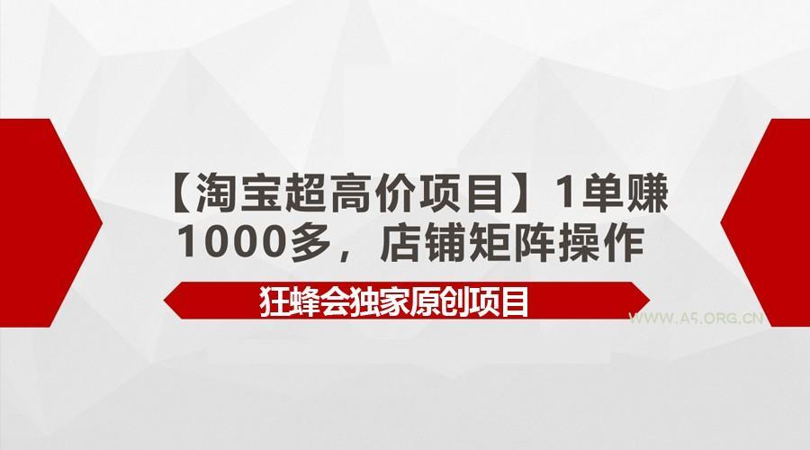 【淘宝超高价项目】1单赚1000多,店铺矩阵操作-A5资源网
