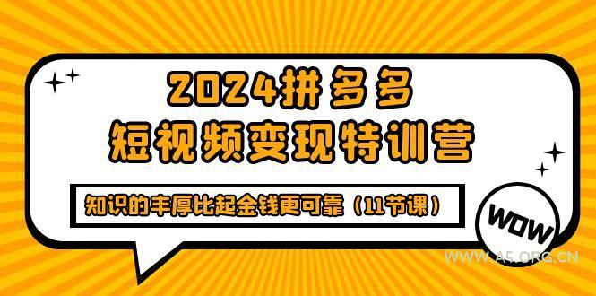 (9817期)2024拼多多短视频变现特训营,知识的丰厚比起金钱更可靠(11节课)-A5资源网