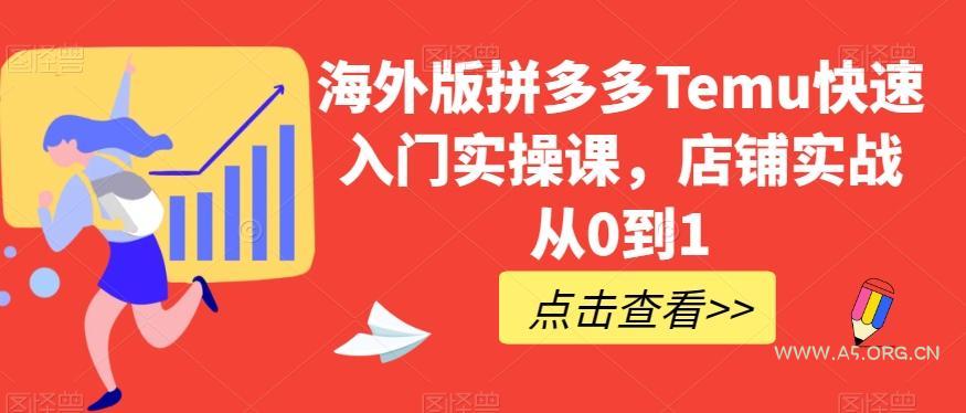 海外版拼多多Temu快速入门实操课,店铺实战从0到1-A5资源网