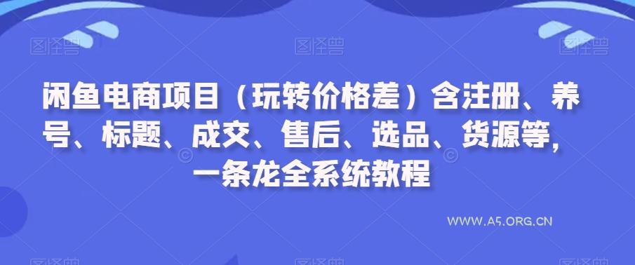 闲鱼电商项目(玩转价格差)含注册、养号、标题、成交、售后、选品、货源等,一条龙全系统教程-A5资源网