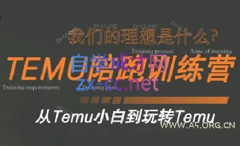 苗苗·拼多多跨境(temu)课程-A5资源网