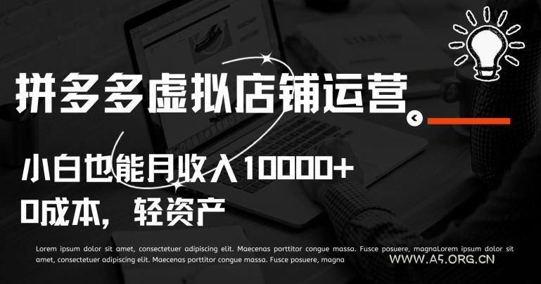 拼多多虚拟店铺运营小白也能月收入10000+【揭秘】-A5资源网