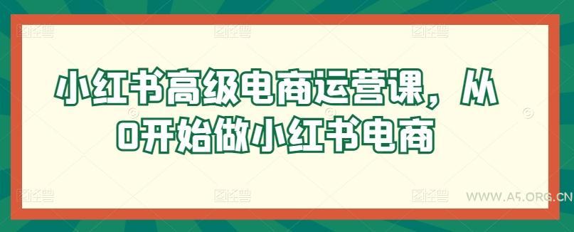小红书高级电商运营课,从0开始做小红书电商-A5资源网