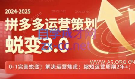 大力老师·2024拼多多运营策略蜕变3.0-A5资源网