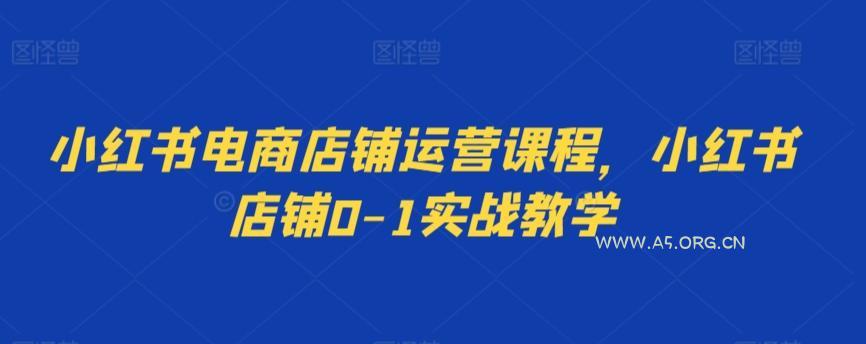 小红书电商店铺运营课程,小红书店铺0-1实战教学-A5资源网