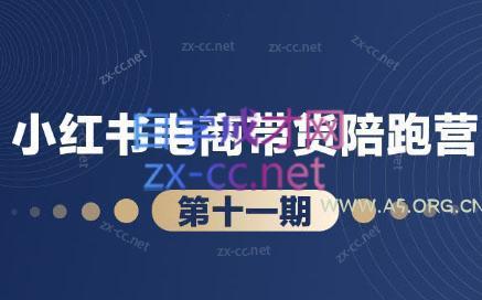 盗坤·小红书电商带货陪跑营(第十一期)-A5资源网