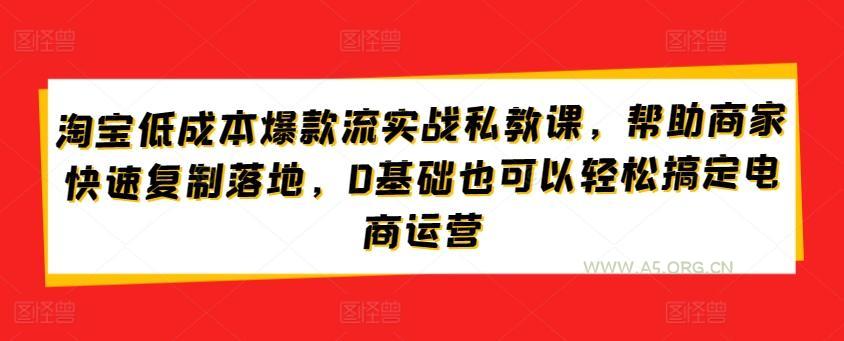 淘宝低成本爆款流实战私教课,帮助商家快速复制落地,0基础也可以轻松搞定电商运营-A5资源网