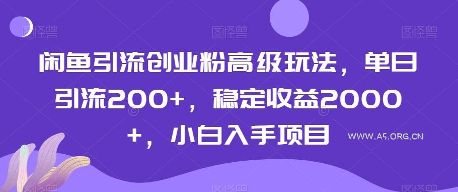闲鱼引流创业粉高级玩法，单日引流200+，稳定收益2000+，小白入手项目-A5资源网