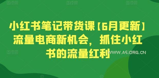 小红书笔记带货课【6月更新】流量电商新机会,抓住小红书的流量红利-A5资源网
