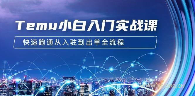 (9295期)Temu小白入门实战课:跨境拼多多电商培训 快速跑通从入驻到出单全流程-12节-A5资源网