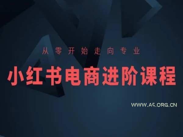 从零开始走向专业,小红书电商进阶课程-A5资源网