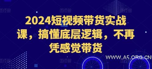 2024短视频带货实战课,搞懂底层逻辑,不再凭感觉带货-A5资源网