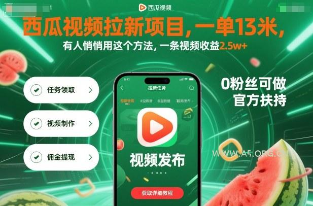 西瓜视频拉新项目,一单13米,有人悄悄用这个方法,一条视频收益2.5w+(附详细教程)-A5资源网