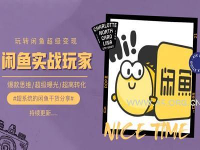 手把手教你0到1系统玩转闲鱼变现,爆款思维/超级曝光/超高转化-A5资源网