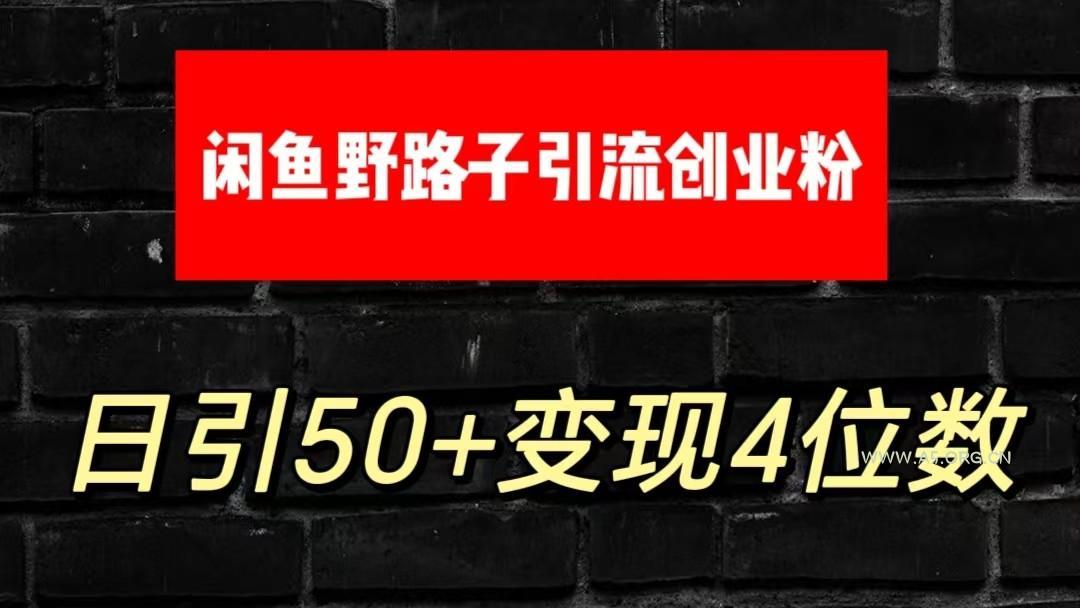 大眼闲鱼野路子引流创业粉,日引50+单日变现四位数-A5资源网
