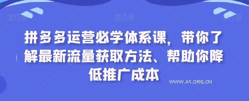 拼多多运营必学体系课,带你了解最新流量获取方法、帮助你降低推广成本-A5资源网