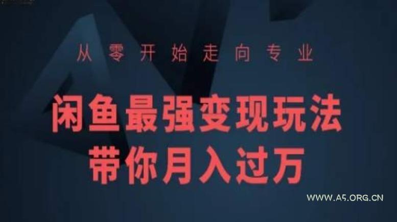从零开始走向专业，闲鱼最强变现玩法带你月入过万-A5资源网