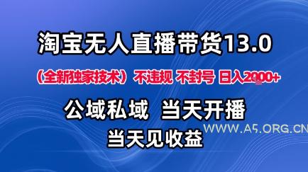 淘宝无人直播13.0,公域私域技术,不封号,不违规布局下半年旺季赛道,日入1K+(独家技术)【揭秘】-A5资源网