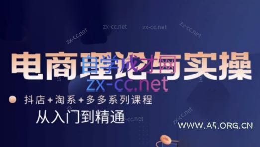 磊子·电商理论与实操(抖店+淘系+拼多多)-A5资源网