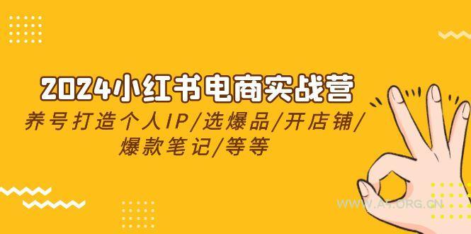 2024小红书电商实战营,养号打造IP/选爆品/开店铺/爆款笔记/等等(24节)-A5资源网