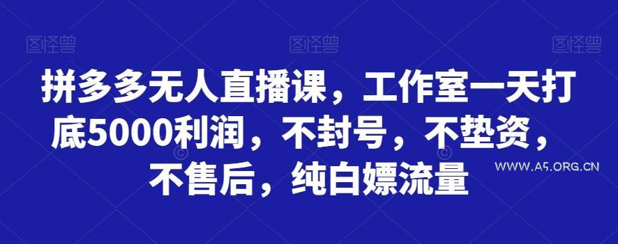 拼多多无人直播课,工作室一天打底5000利润,不封号,不垫资,不售后,纯白嫖流量-A5资源网