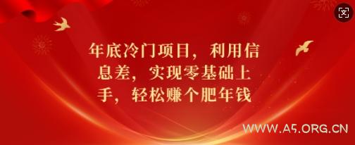 年底冷门项目,利用信息差,实现零基础上手,轻松赚个肥年钱【揭秘】-A5资源网