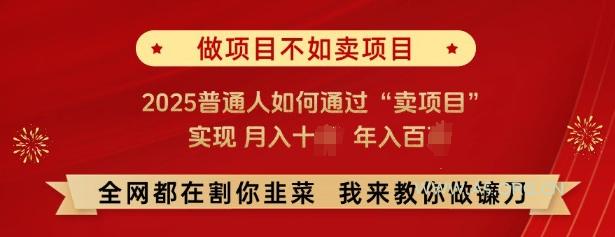 必看,做项目不如卖项目,2025普通人如何通过“卖项目”实现月入十个,年入百个-A5资源网