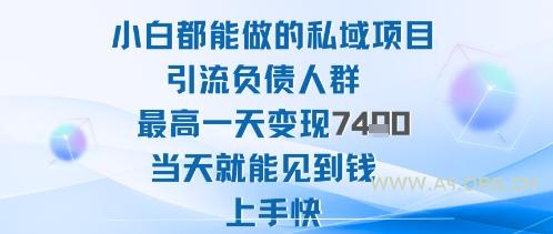 2025年小白都能做的私域项目引流负债人群最高一天变现1k+高变现难度低当天就能见到钱上手快-A5资源网
