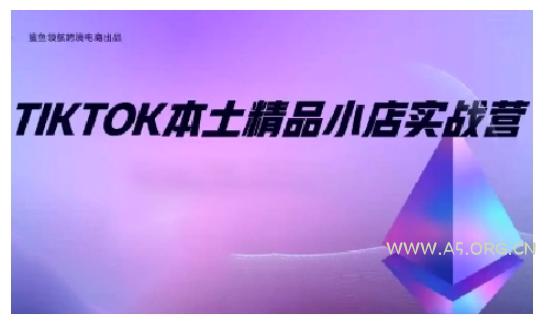 TikTok本土精品小店出海实战营,从入门到高阶,不止0-1!-A5资源网