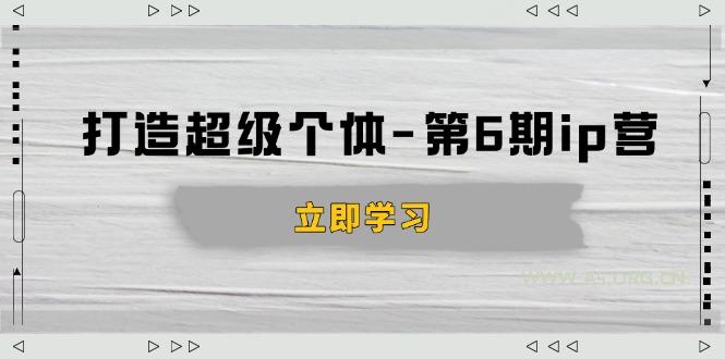 打造 超级个体-第6期ip营:商业认知,产品设计,成交演练,解决知识变现难题-A5资源网