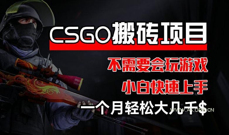 CSGO 装备搬砖项目,操作简单,不需要会玩游戏,小白也能快速上手,一个月轻松大几千【揭秘】-A5资源网