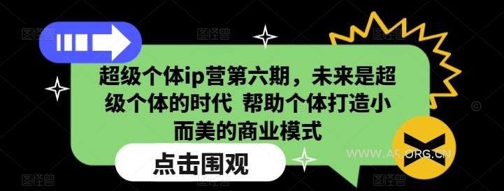超级个体ip营第六期，未来是超级个体的时代  帮助个体打造小而美的商业模式-A5资源网