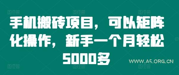 手机搬砖项目,可以矩阵化操作,新手一个月轻松5000多-A5资源网