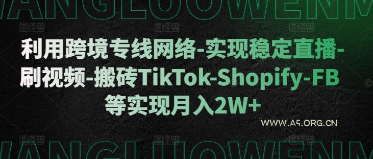 利用跨境专线网络-实现稳定直播-刷视频-搬砖TikTok-Shopify-FB等实现月入2W+【揭秘】-A5资源网