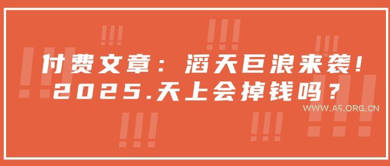 付费文章:滔天巨浪来袭!2025天上会掉钱吗?-A5资源网