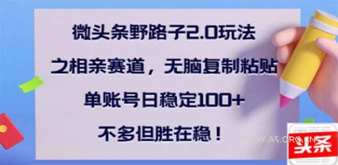 微头条野路子2.0玩法之相亲赛道,无脑搬砖复制粘贴,单账号日稳定300+…-A5资源网