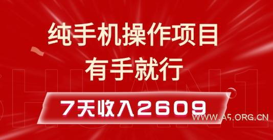 纯手机操作的小项目,有手就能做,7天收入2609+实操教程【揭秘】-A5资源网