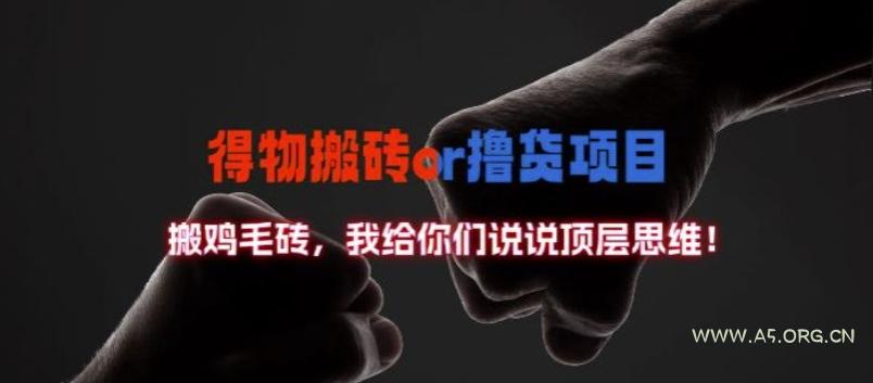 得物搬砖撸货项目?掰下数据，我给你们说说顶层思维【揭秘】-A5资源网