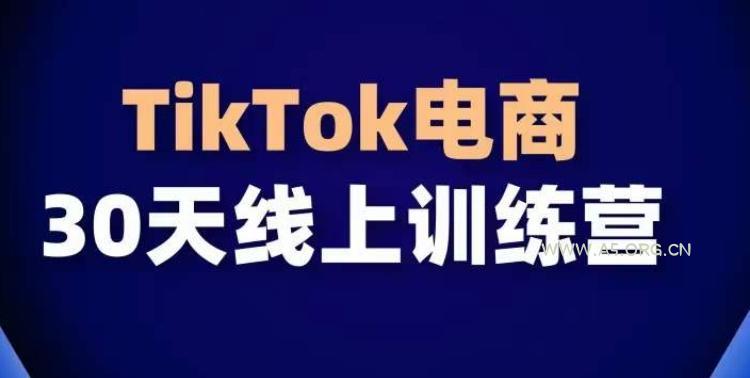 TikTok电商带货30天线上课,不可错过的全球流量洼地!-A5资源网