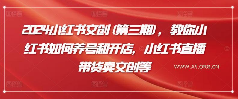 2024小红书文创(第三期),教你小红书如何养号和开店,小红书直播带货卖文创等-A5资源网