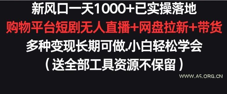 新风口一天1000+已实操落地购物平台短剧无人直播+网盘拉新+带货多种变现长期可做【揭秘】-A5资源网