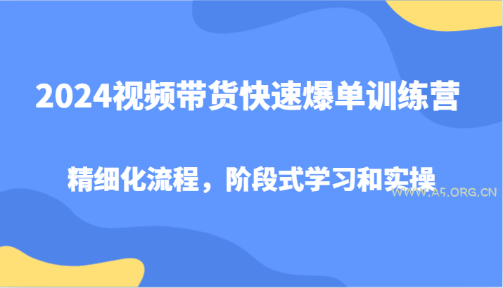 2024视频带货快速爆单训练营,精细化流程,阶段式学习和实操-A5资源网