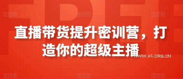 直播带货提升密训营,打造你的超级主播-A5资源网