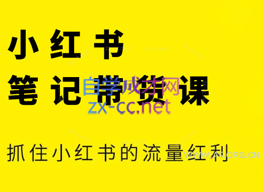 张宾·小红书笔记带货课(更新24年7月)-A5资源网