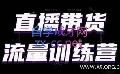 婉婉·直播带货课程系列合集(更新8月)-A5资源网