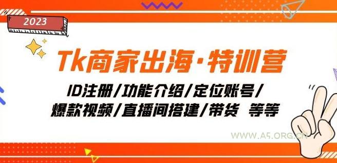Tk商家出海·特训营:ID注册/功能介绍/定位账号/爆款视频/直播间搭建/带货-A5资源网