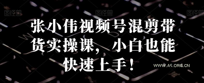 张小伟视频号混剪带货实操课,小白也能快速上手!-A5资源网