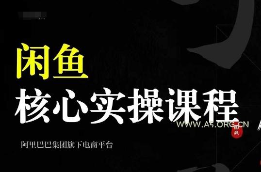 2024闲鱼核心实操课程,从养号、选品、发布、销售,教你做一个出单的闲鱼号-A5资源网