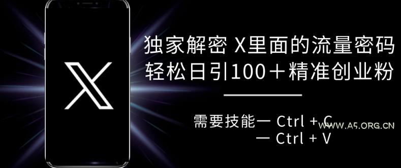 独家解密 X 里面的流量密码,复制粘贴轻松日引100+-A5资源网